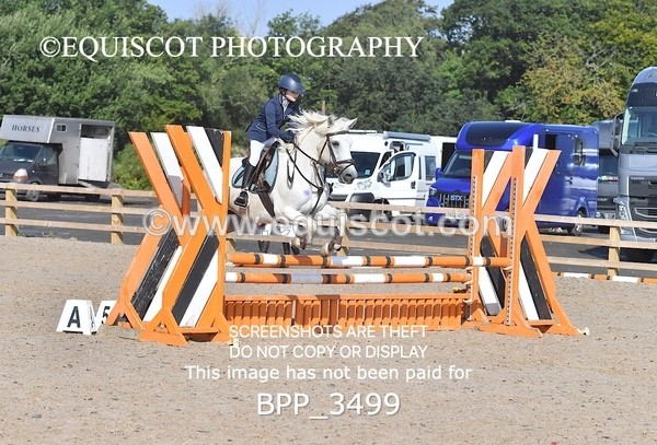 BPP_3499 - CLASS 2 Club/ Unaffiliated 80cms Open