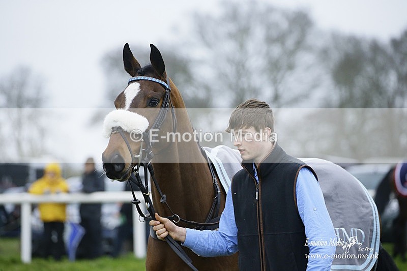 PtP 200222 642 - Countryside Alliance PtP Badbury Rings 20/02/22