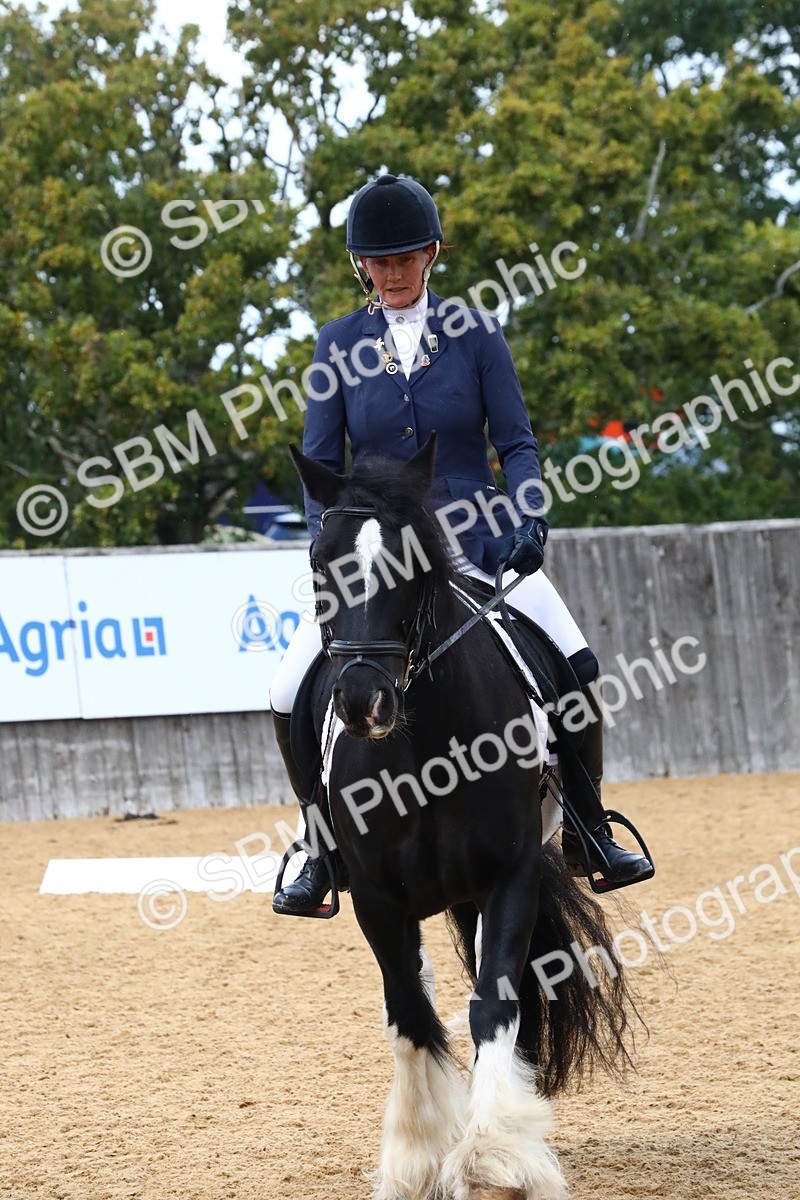 SBM_21018 - D5 - Small Tour Championshop Intro 2