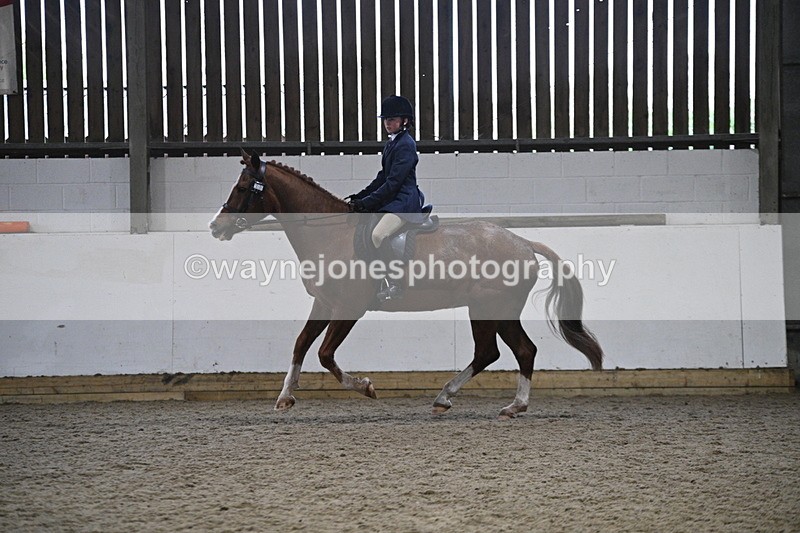 WJ7_4147 - Class 17 Ridden Cob