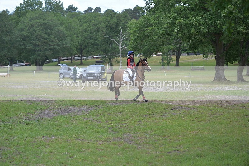 NGP_6556 - Time 10:28 to 10:48