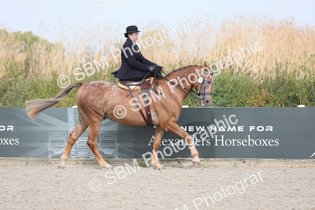 SBM_14522 - Class 211 Best Side Saddle Horse/Pony