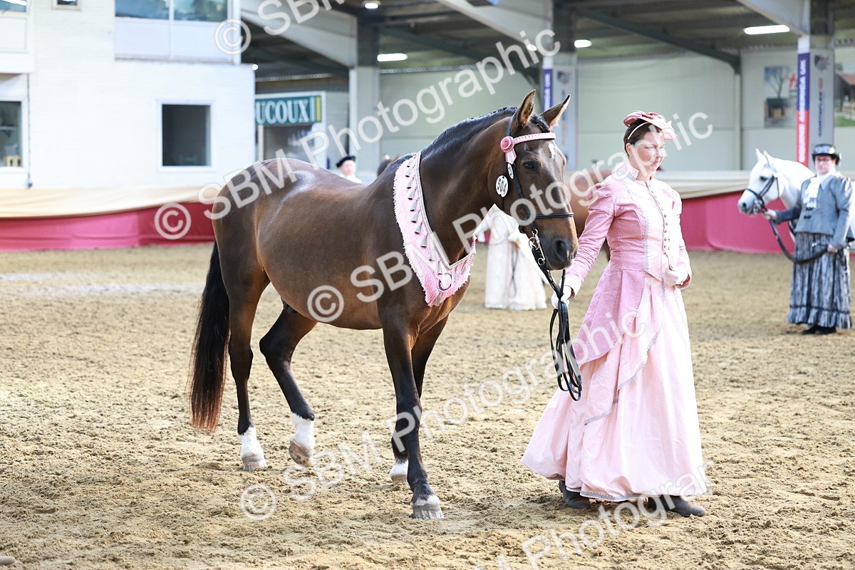 SBM_12081 - Class 103 - IH Costume