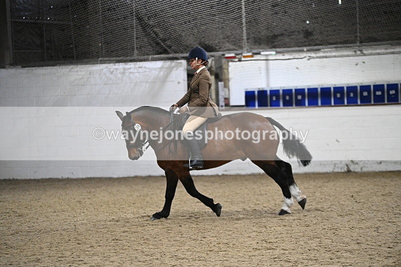 WJ7_4021 - Class 17 Ridden Cob