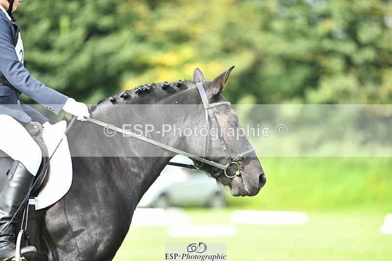 230826-094757-15241 - Sections C & D 9 to 10am