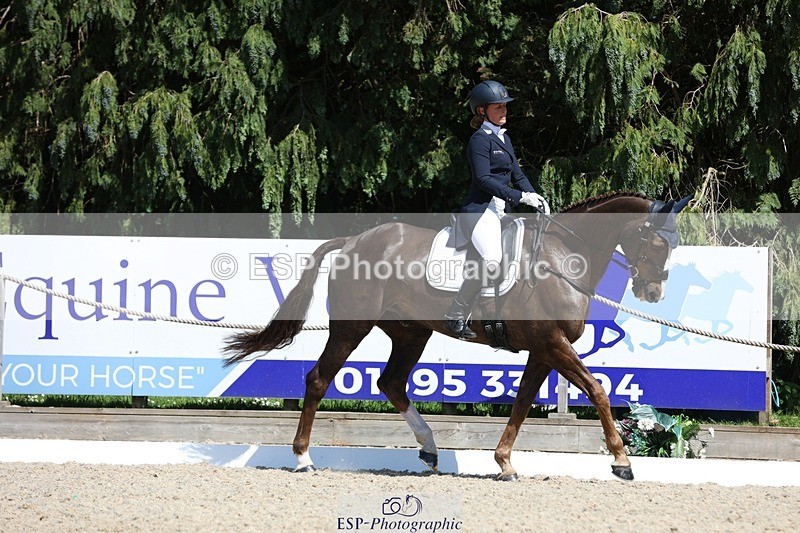 230526-145610-06586 - 376-DIRECT_BALLYTARSNA_DUCAREL-Jodie_Amos-WEDTrotUp+DR