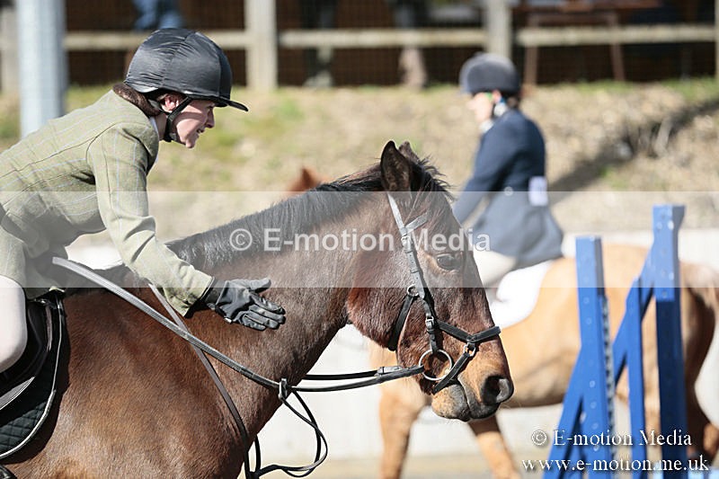 BVRC SJ 170319 110 - Bourne Valley Riding Club Showjumping 17/03/19