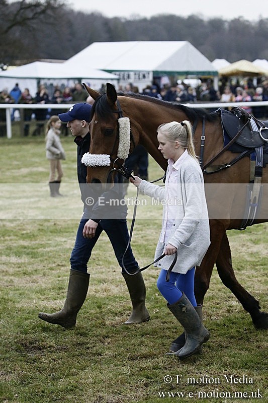PtP 110318 199 - Hampshire Hunt Point-to-Point Hackwood Park 11/03/18