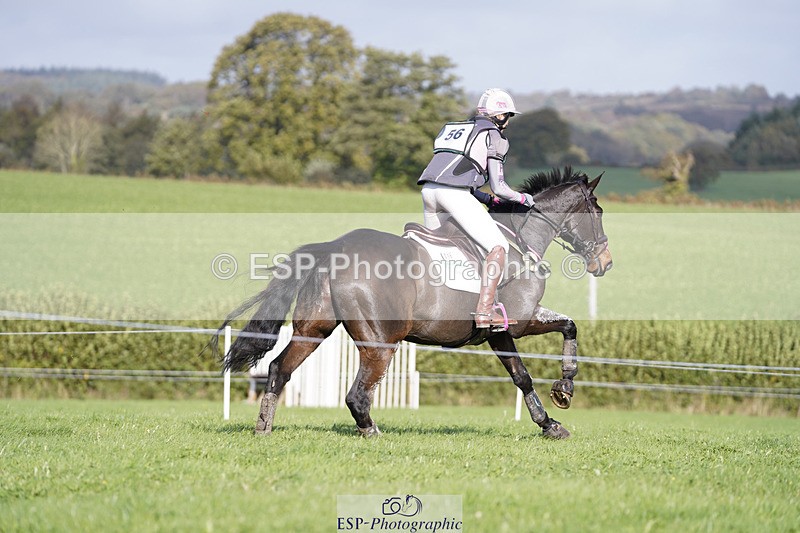 241025-114612-06306 - 056-Claire.Deuten-KILBUNNY.BLUE.BIRD