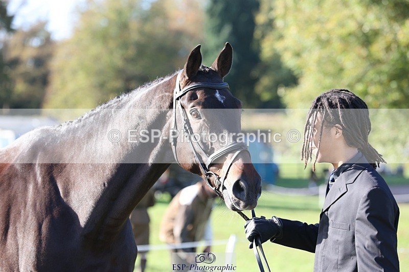 241027-103658-15996 - 592-Rupert.Hyde-LEONIDAS.VAN.DE.CRUMELHAEVE