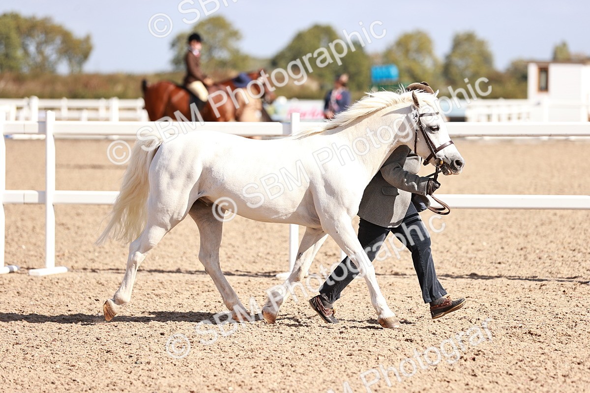SBM_22788 - Class 705 - IH Combination 65+