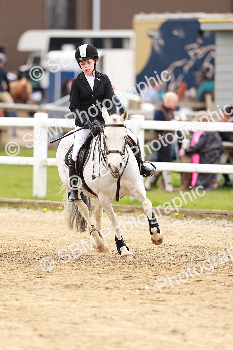 SBM_004248 - Class 3 - 60cm