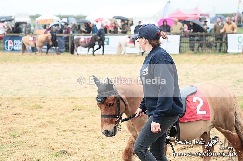 SHETPR 210425 2 - Shetland Ponies Paxford Races 21/04/25
