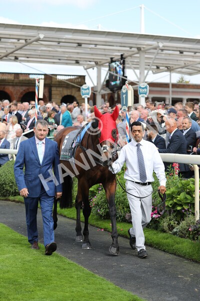 yr17082022r4-30 - Race 4 3.35pm Juddmonte International Stakes (British Champions Series Race)