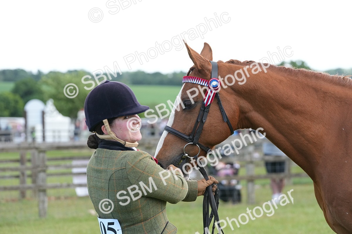 SBM_12950 - Class 99 - RIHS SEIB Working Show Horse