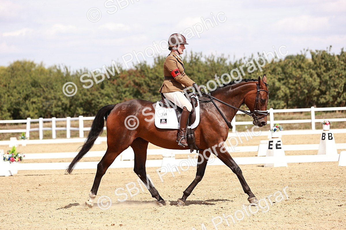 SBM_018428 - Class 17 - Novice 6