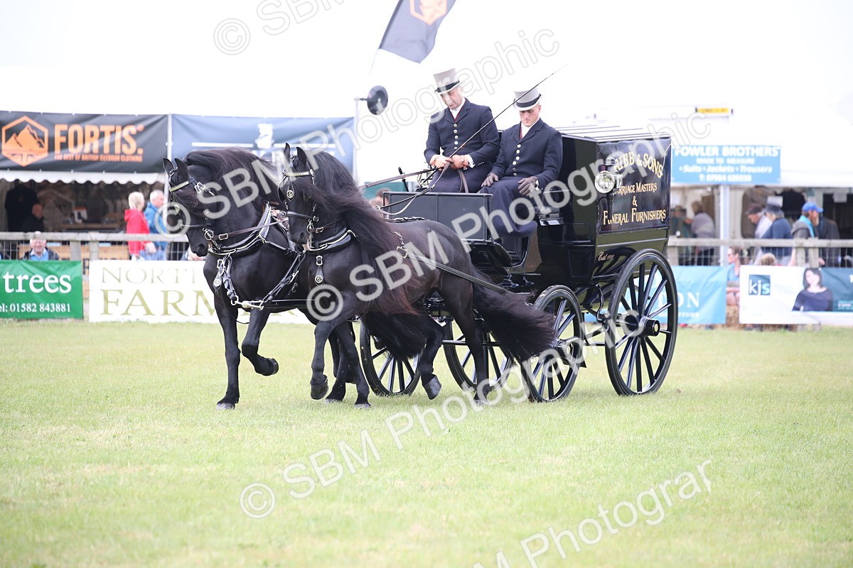 SBM_07029 - Class 16 - Light Trade