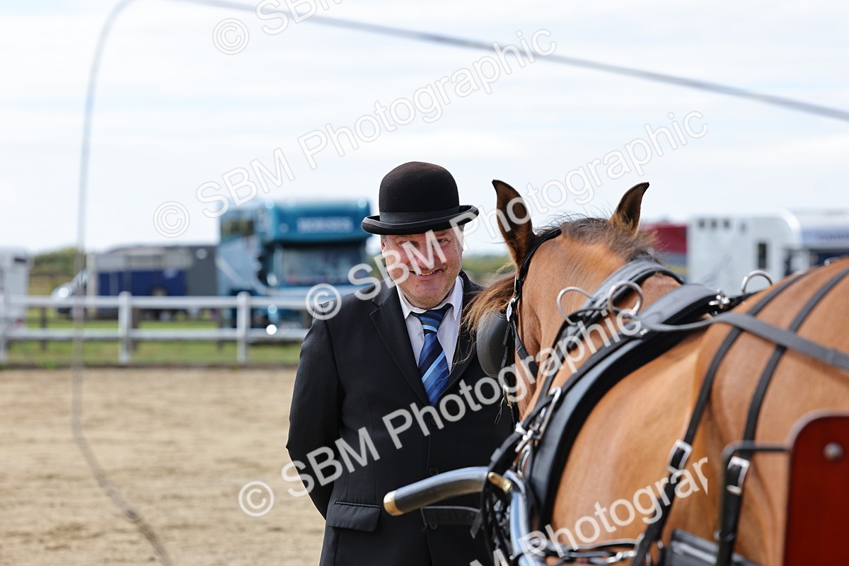 SBM_000924 - Class 8 - Novice Horse or Pony to any vehicle