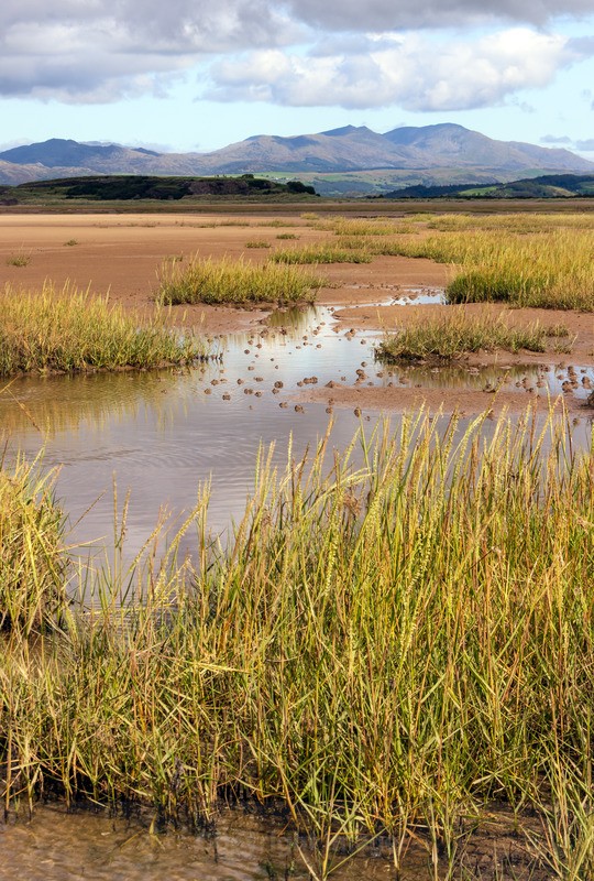 Askam Sands (1) - Distant Hills