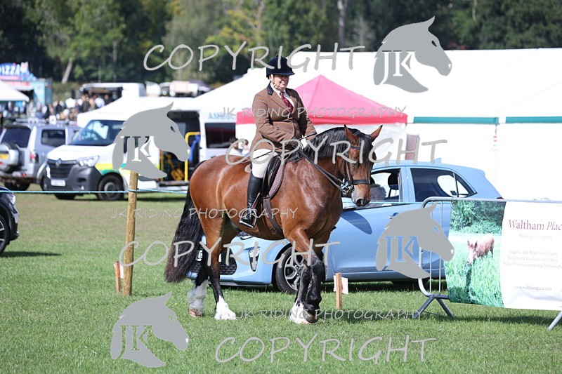 APP_3033 - Class 11 Veterans ridden