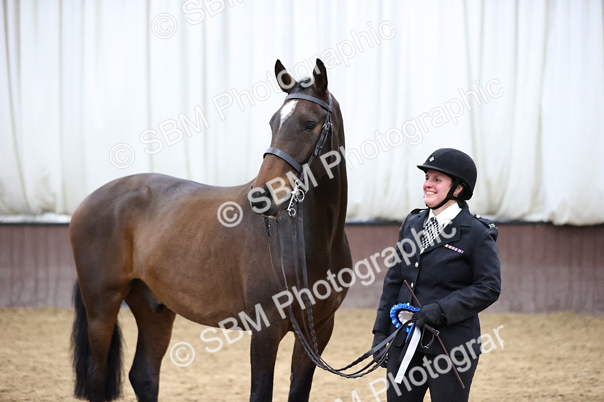 SBM_5786 - Class 3 - BSHA In Hand Show Hunter