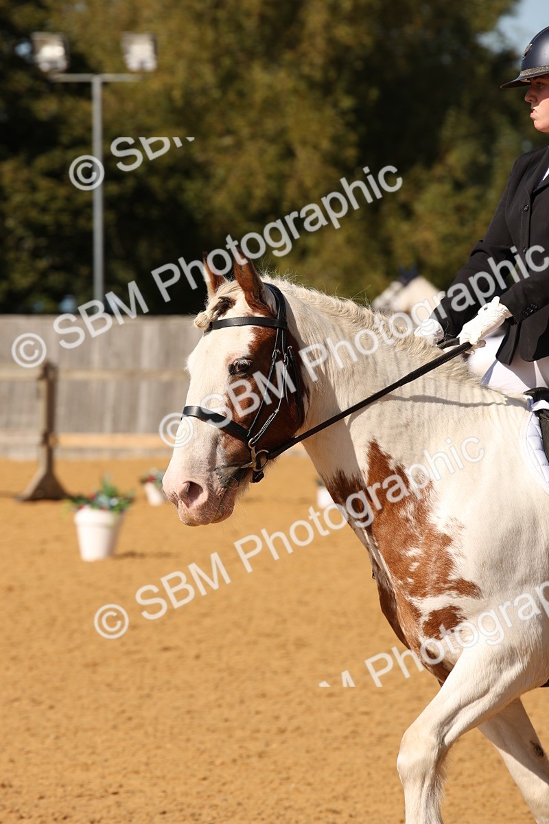 SBM_24187 - D5 - Small Tour Championship - Intro C
