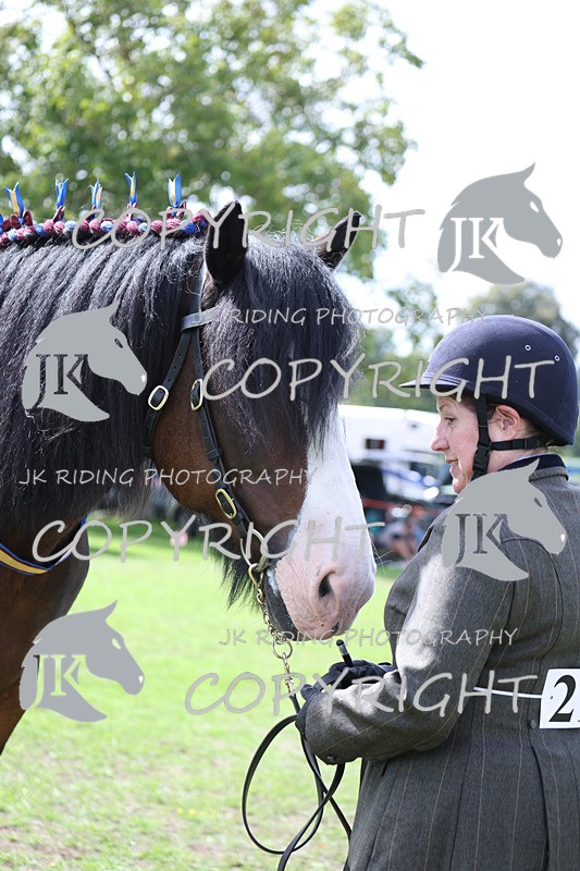 APP_3276 - Class 4 Veterans