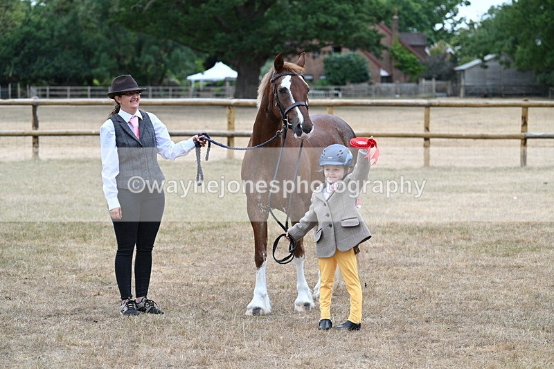 WJ7_8567 - Class 4 Prettiest Mare up to 14.2hh