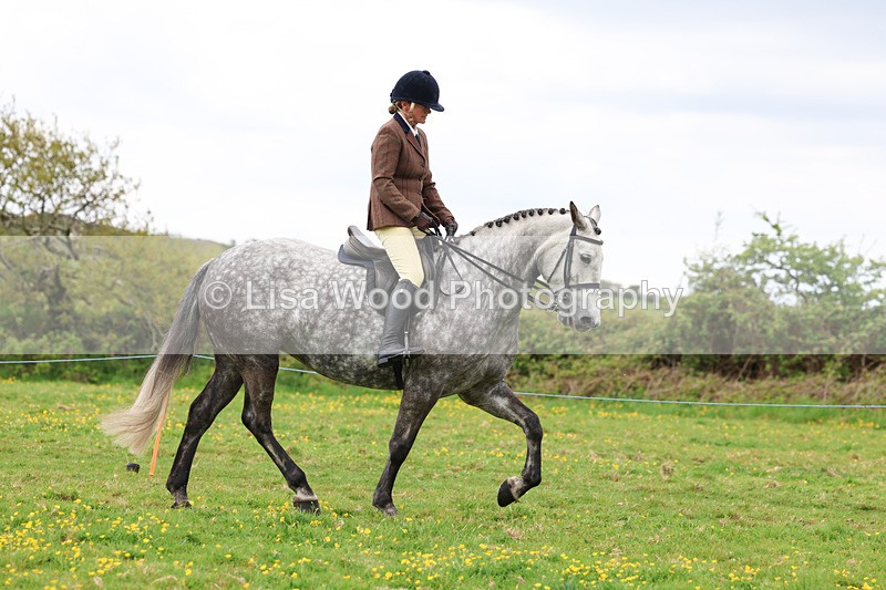 3E7A1302 - Class 7: Ridden Hunter Type