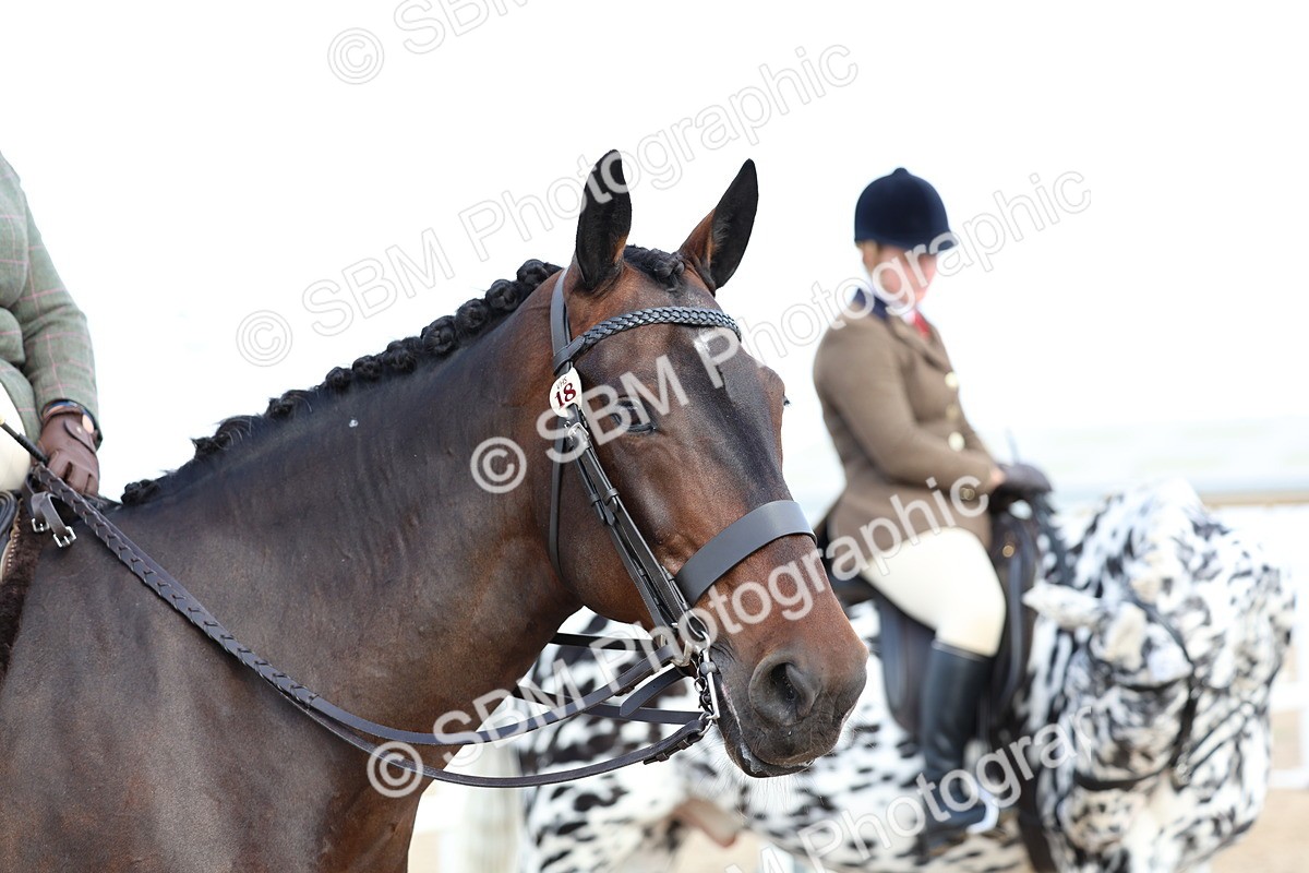 SBM_17250 - Class 315 - Best Horse - Rider Combination