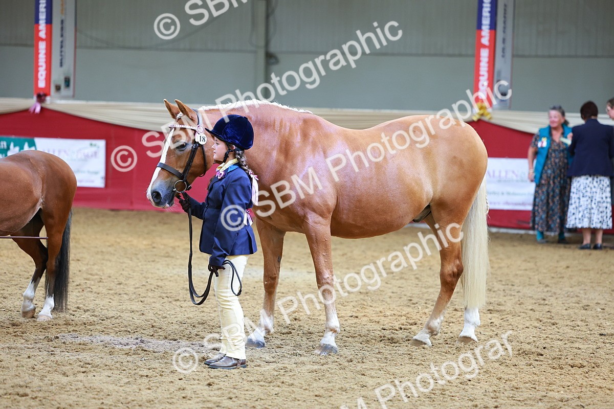 SBM_04292 - Class 9R - IH Pre-Vet
