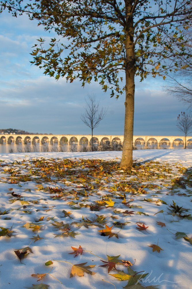 DSC_3858 - Autumn