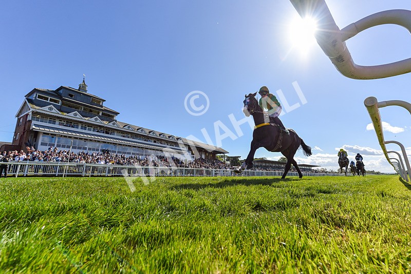 030525-Race 5-Savrola-1473 - Race 5