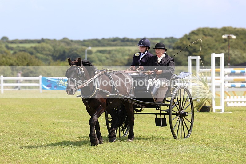 3E7A2704 - Class 12: Open Driving