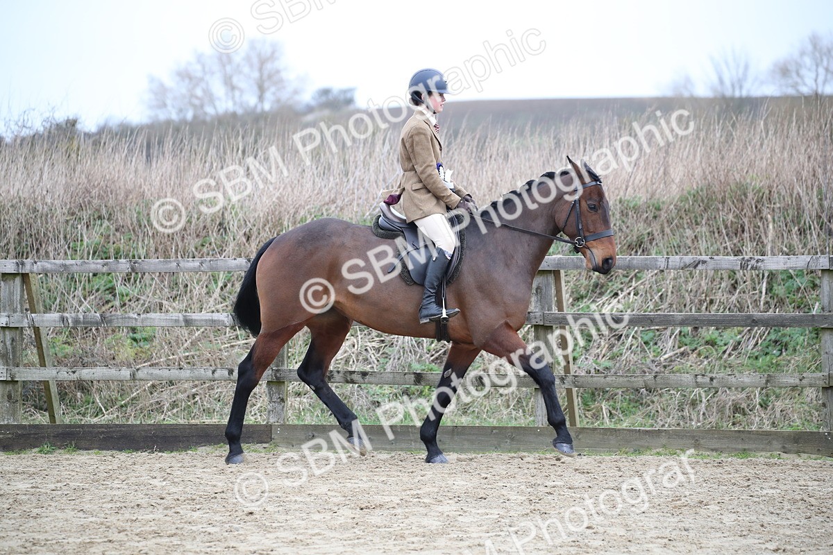 SBM_004776 - Class 5-9 - NPS In Hand-Show Hunter-Intermediate Ridden Inc Ridden Championship