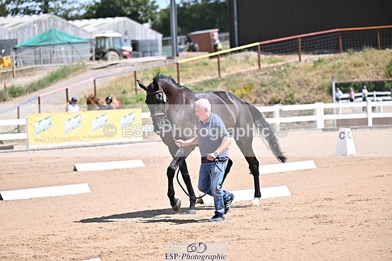 250716-123353-00052 - Trot Up 12.30 to 1.30
