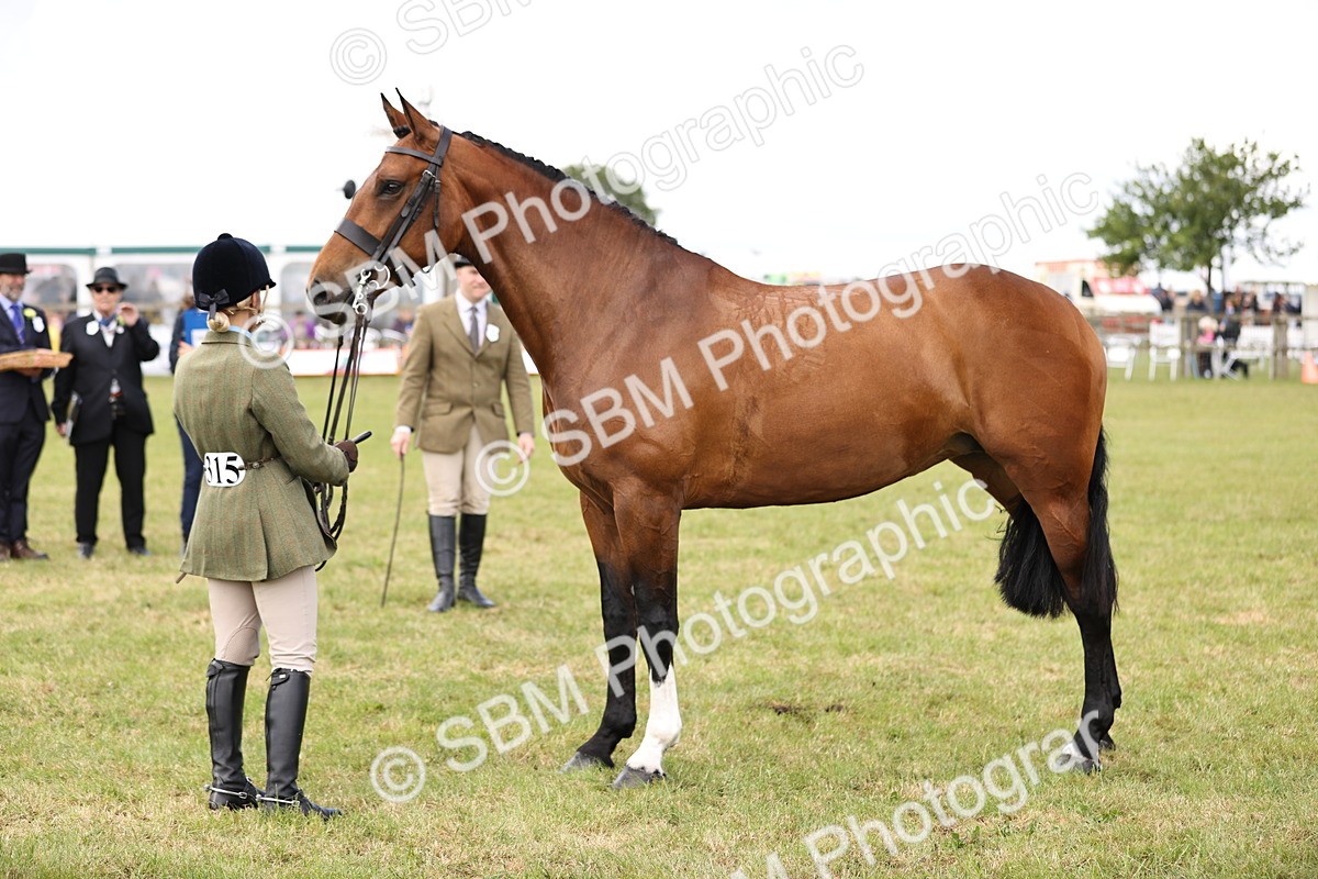 SBM_14746 - Class 88-89 - LIHS BSHA Rising Star of Ridden Hunter Type