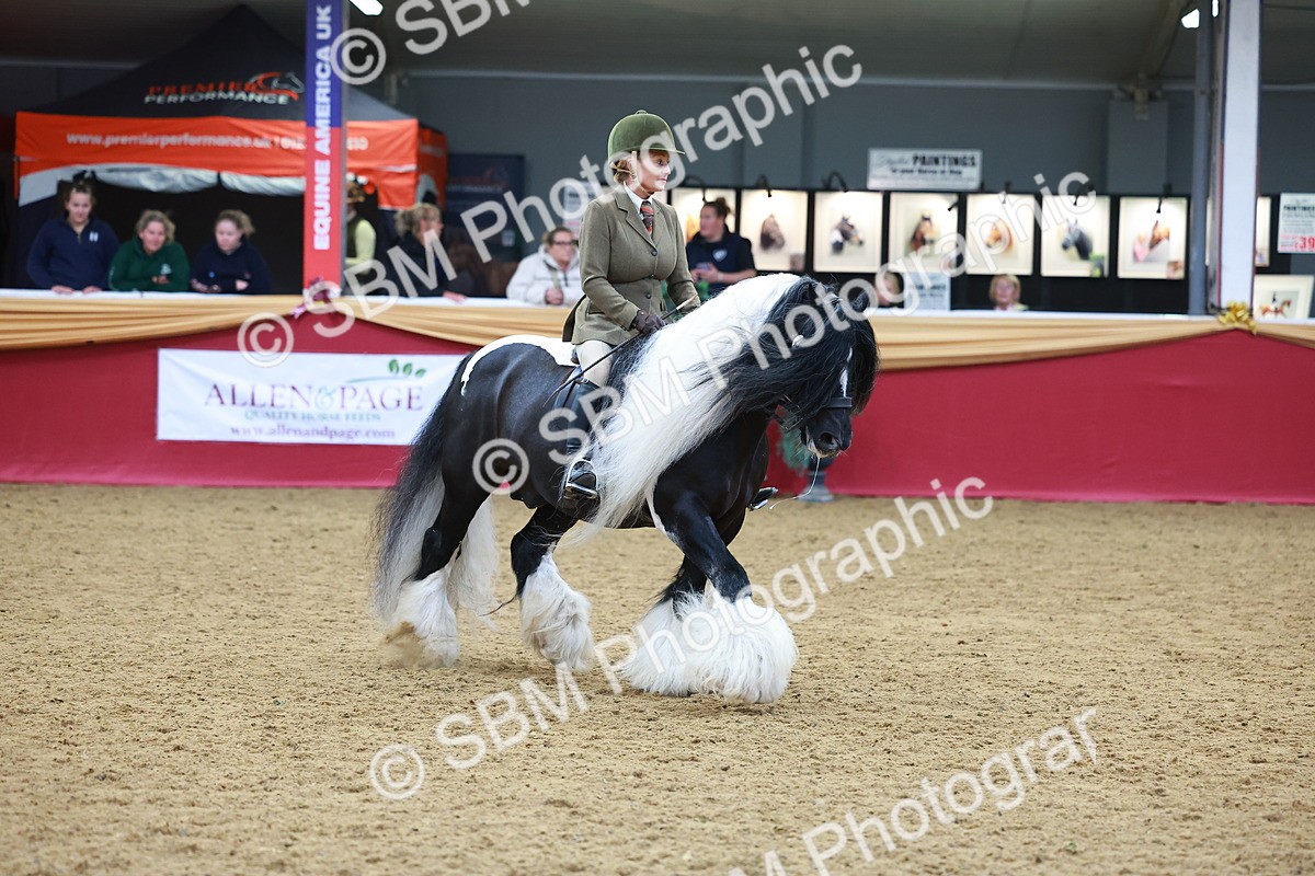 SBM_06263 - Class 12R - Ridden Pre-Vet