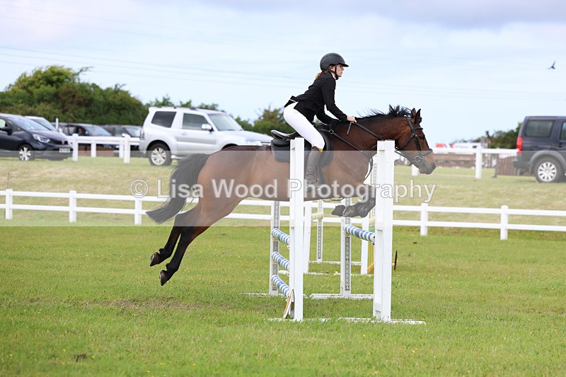 3E7A7671 - Class 13: Senior British Novice/90cm open