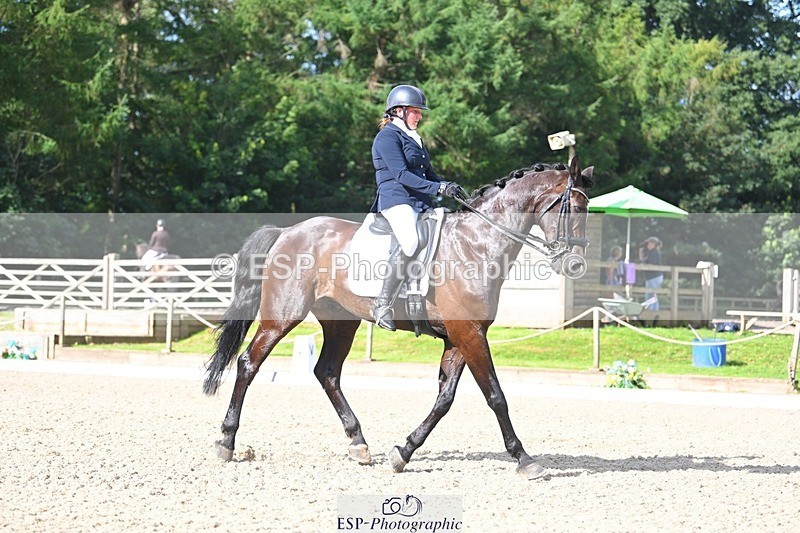 230811-093827-00077 - Cls 3 Adv Medium Bronze Start to 10.25 break