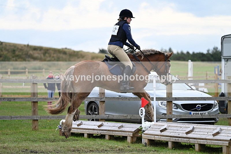 WJ7_7741 - 40cm Time 10:49 to 11:18