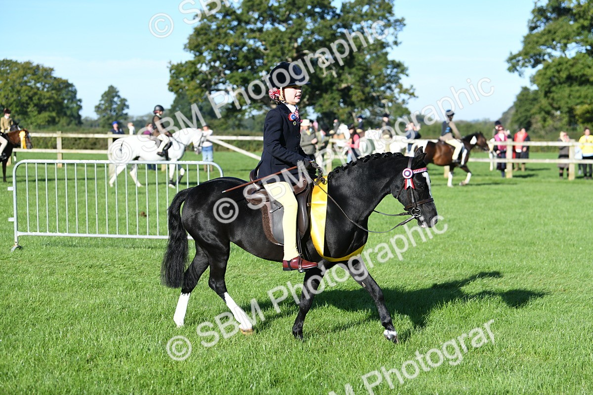 SBM_34136 - S16 - Condition & Turnout - Ridden