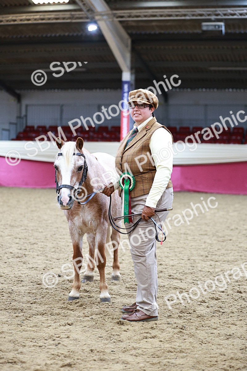 SBM_01075 - Class 2A - Area IH Veteran