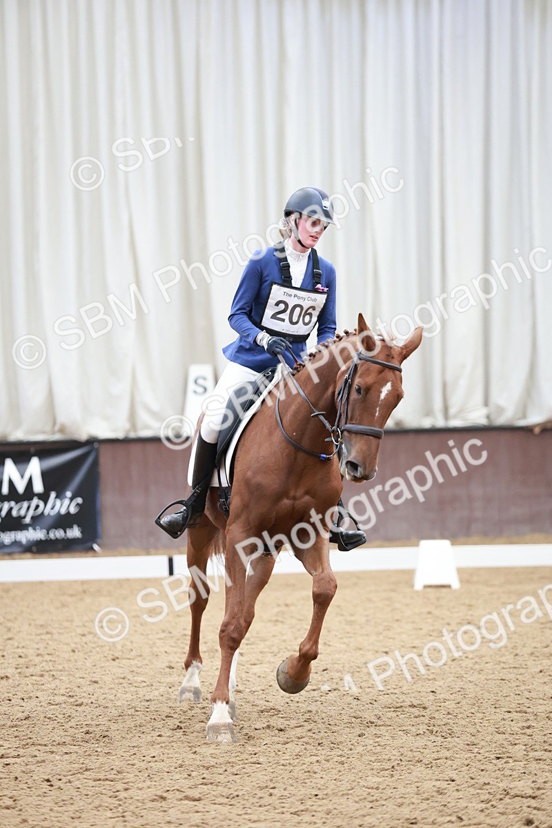 SBM_003804 - Class 2 - Novice 2020