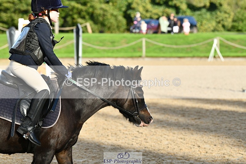 251004A-093355-00183 - Classes 1-2-3 40cm