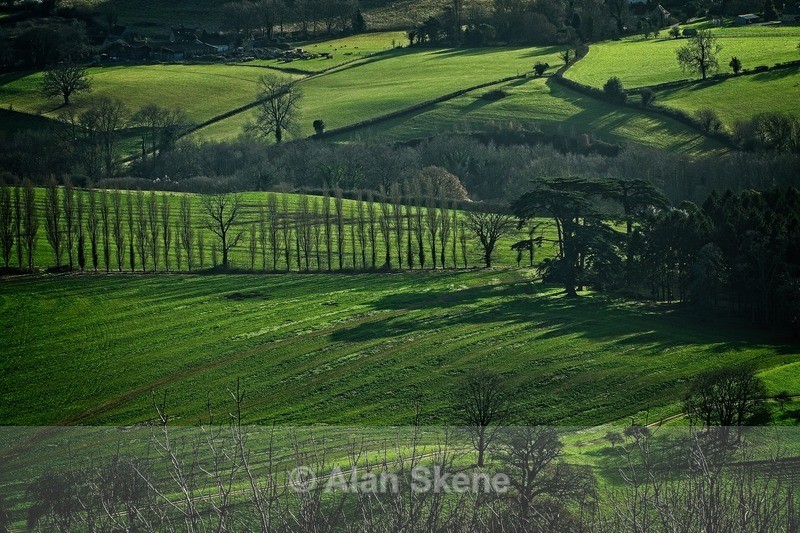 DSC06406 - Gloucestershire