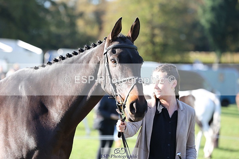 241027-095053-15536 - 444-Tatiana.Wharton-NO.TOMMY.NO