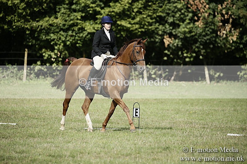 BVR090918 138 - BVRC Dressage and Show Jumping 09/09/18