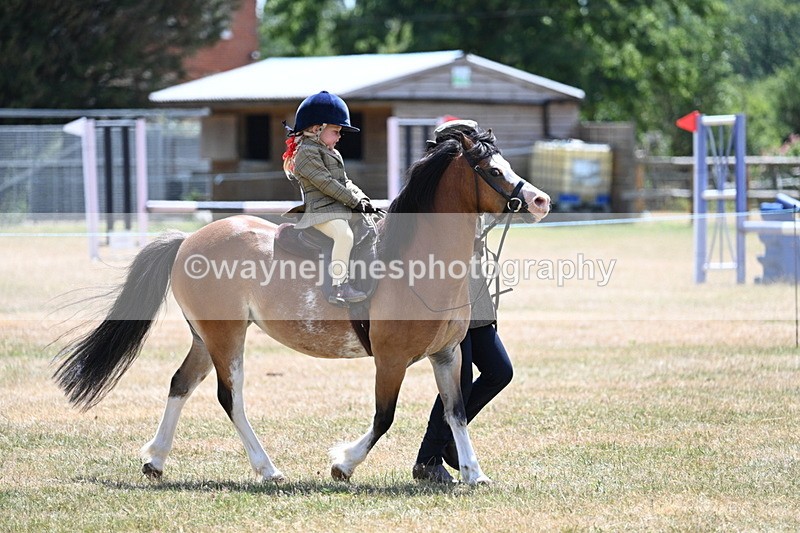 WJ7_2670 - Class 6 Ridden Mountain and Moorland