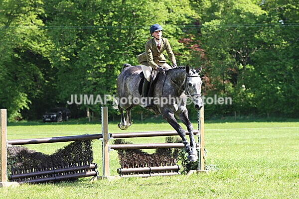 IMG_4872 - Working Hunter